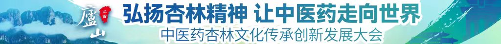 做爱视频逼逼操逼操逼操中医药杏林文化传承创新发展大会